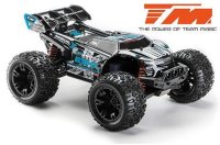 Auto - 1/10 Racing Monster Elektrisch - 4WD - RTR -...